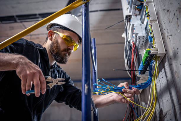 Best Ceiling Fan Installation Electrician  in Cary, IL