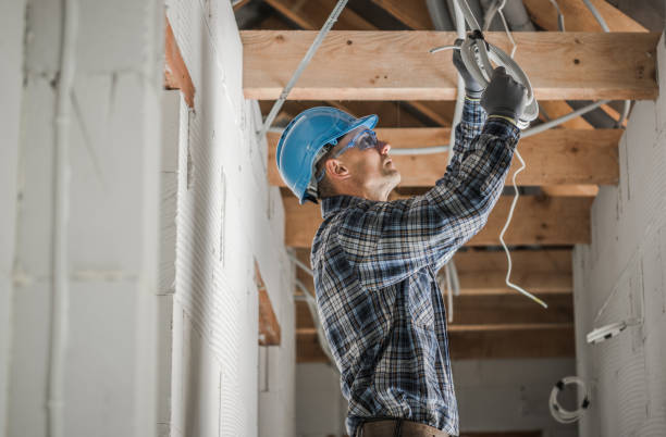 Best Residential Electrician Services  in Cary, IL